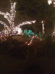 Ethel M. Chocolate Cactus Garden holiday lights
