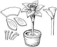 flores de arcilla (8)
