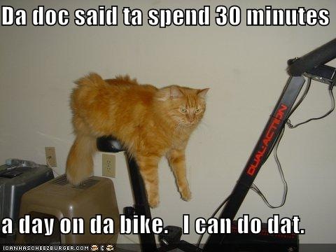 [excercise-bike-cat[4].jpg]
