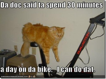 excercise-bike-cat
