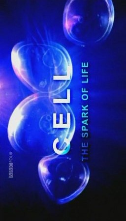 [20100110145956716[8].jpg]