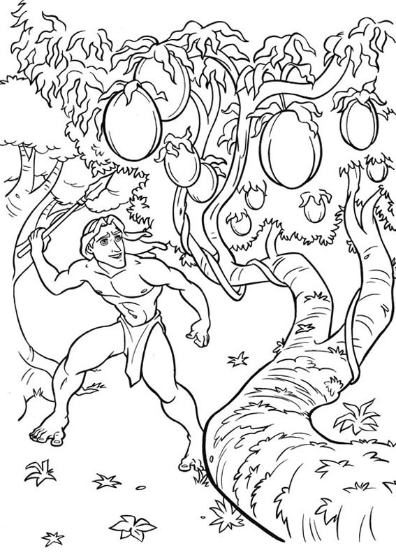 [TARZAN 56.jpg]