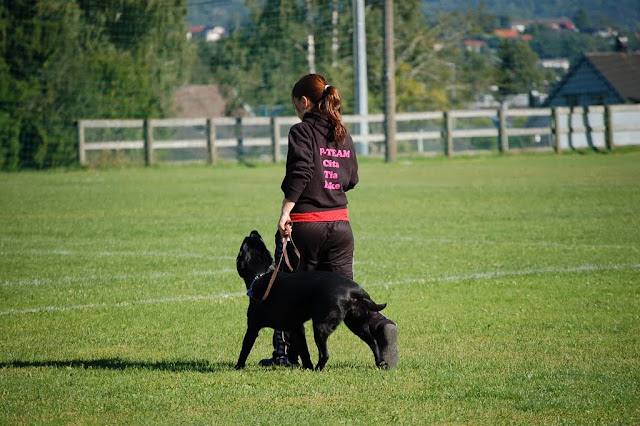 DSC_0038.JPG