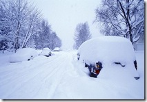 cars-in-deep-snow_5376