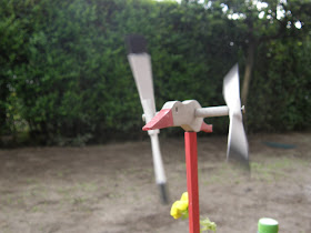 Ciconia ciconia, fehér gólya, gilice