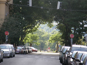 Újlipótváros, XIII. kerület,  fák 