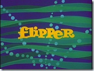 flipper 1