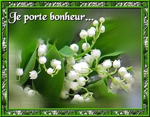 [0501muguet2.jpg]