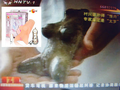 竟然把成人用的自慰器当作“太岁”来报导