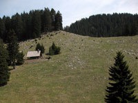 Travniki pod Kočo na Dobrči
