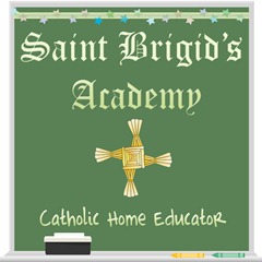 StBrigidsAcademy Logo