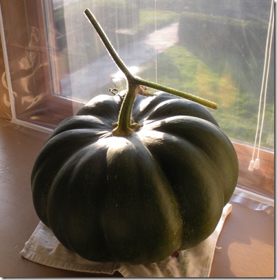 Fairy Tale Pumpkin 003