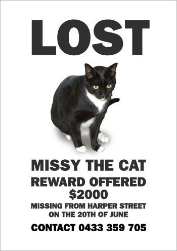 missing_missy4