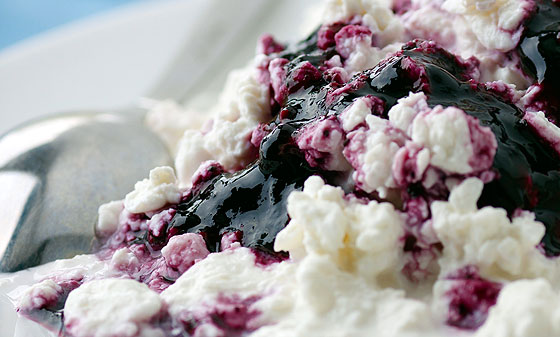 cottage cheese health nutrition photo