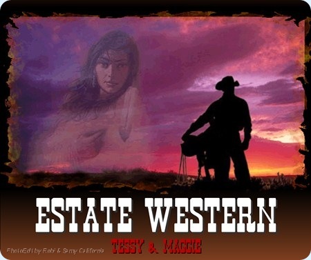 0 Estate Western Post firme