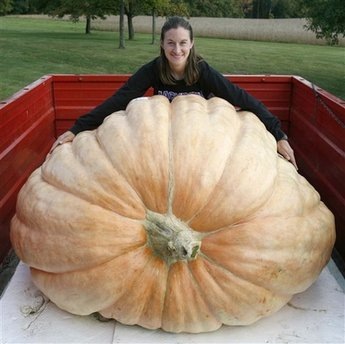 World Biggest Pumpkin