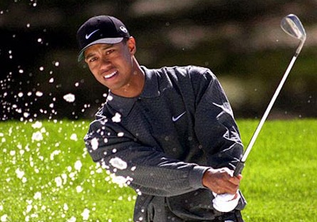 [Tiger Woods[2].jpg]