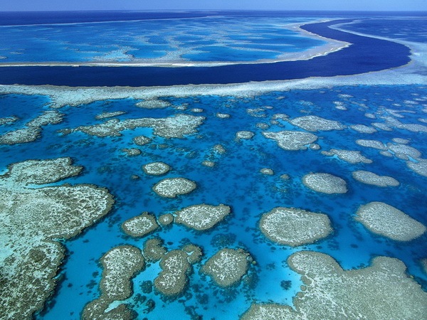 [Great Barrier Reef_resize[4].jpg]