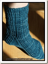 Castane Socks - leg