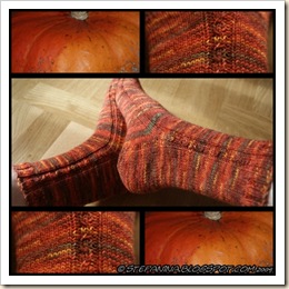 automne socks