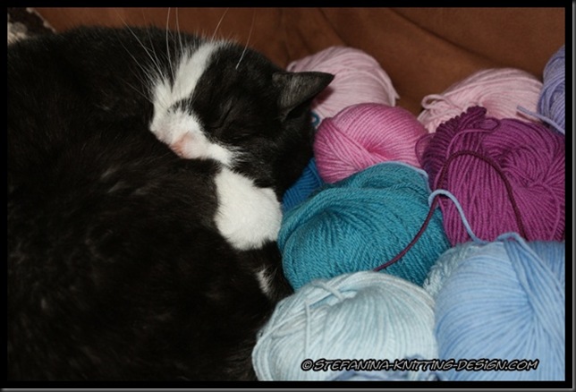 Crochet a rainbow - the cat yarn's choice