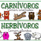 carnivoros herbivoros
