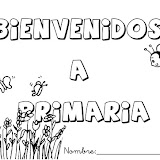 Bienvenidos a primaria