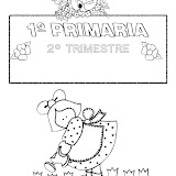 Segundo Trimestre 1º