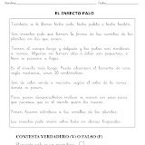 EL INSECTO PALO-1