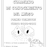 Cono. 1 Trimestre