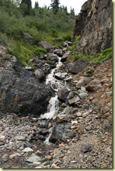 IMG_8123 IMG_8123