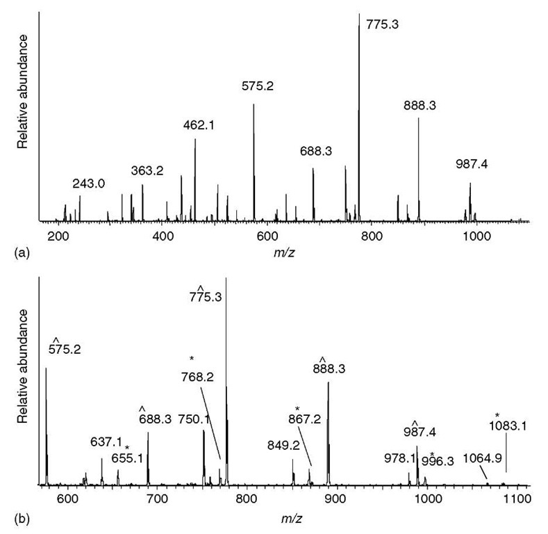 Peptide Molecular Weight Calculator Monoisotopic Blog Dandk