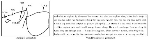 williams syndrome features. in Williams syndrome.