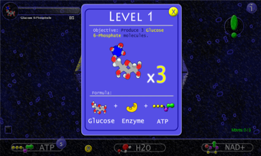  Glycolysis in 10 Minutes  