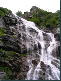 DSCN6109