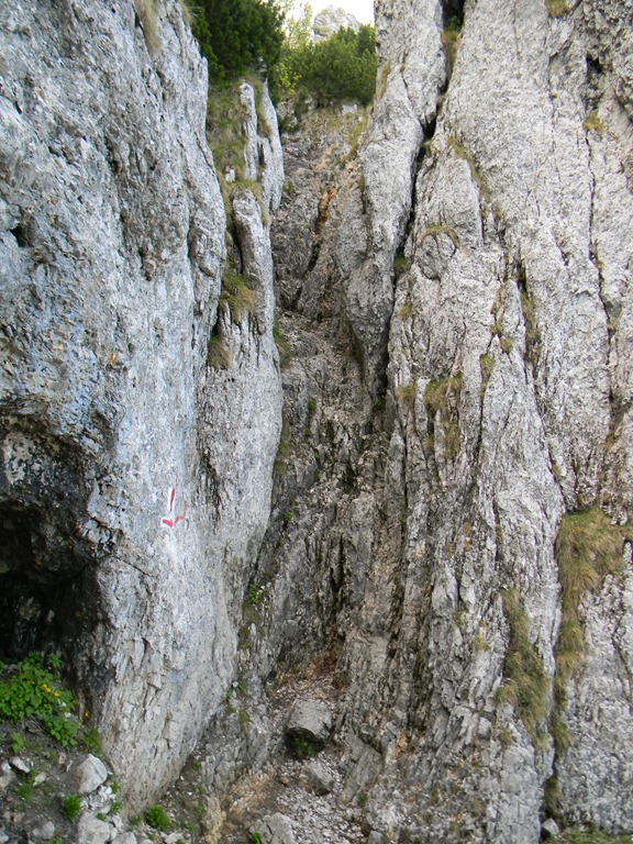 [DSCN47724.jpg]