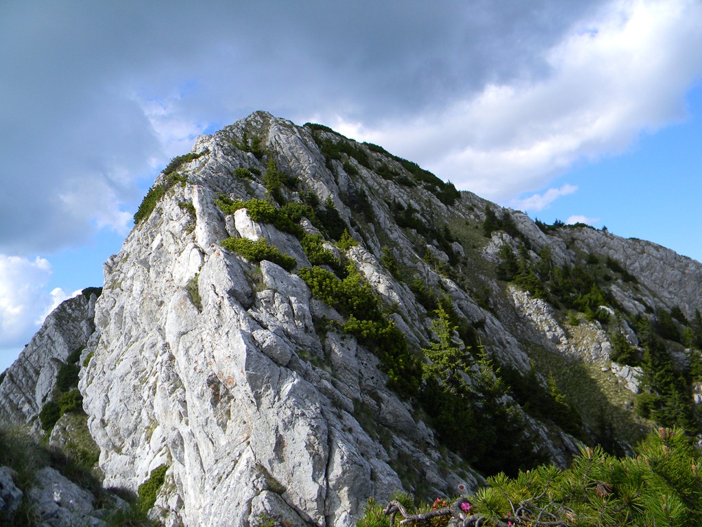 [DSCN50604.jpg]