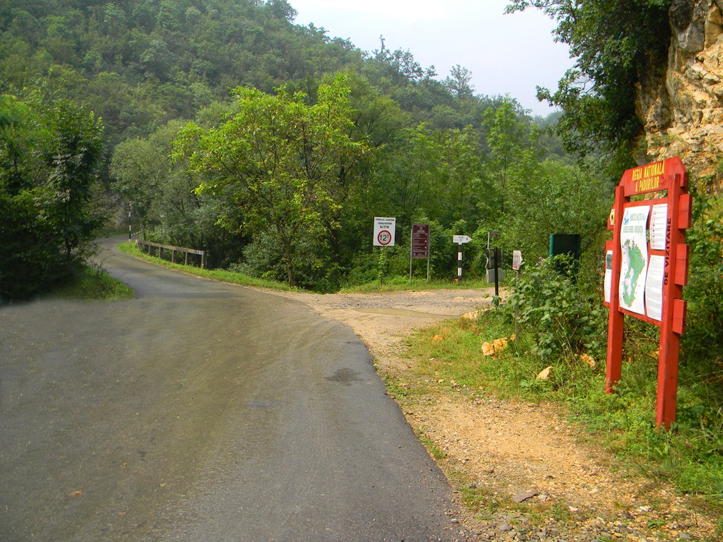 [DSCN80124.jpg]