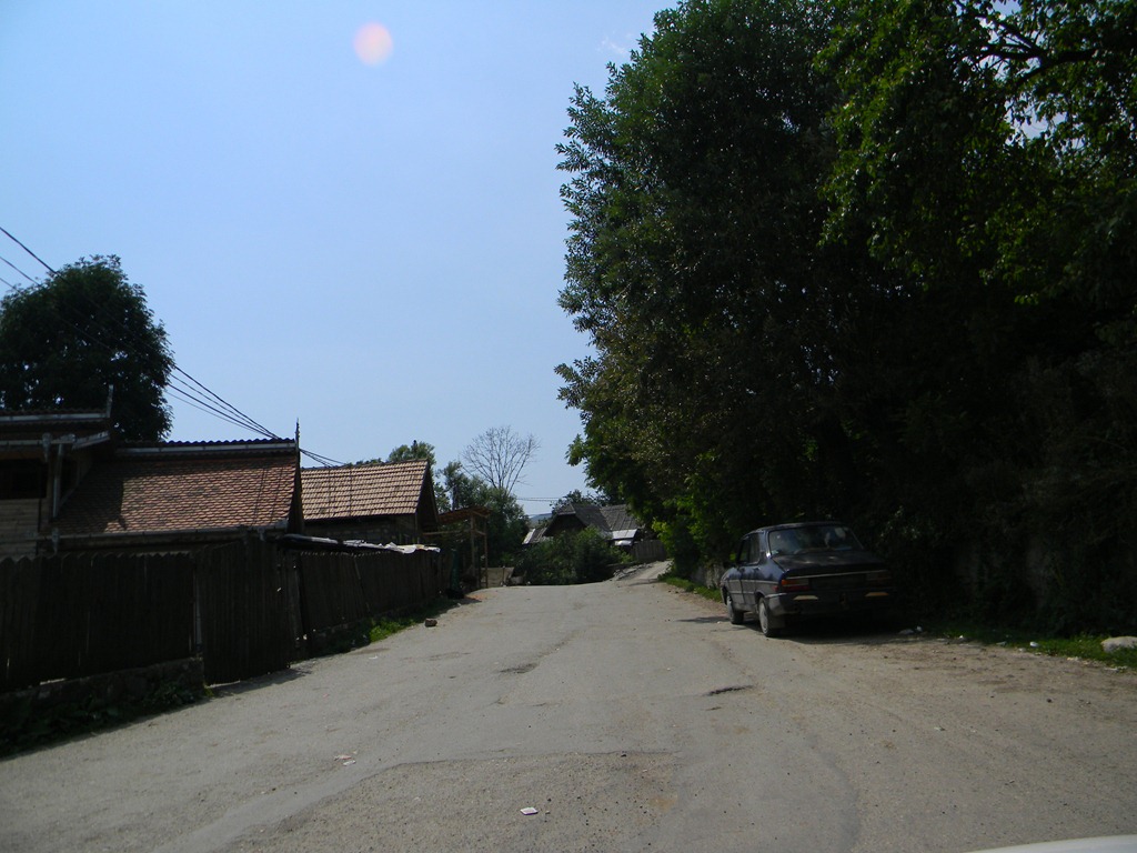 [DSCN87103.jpg]