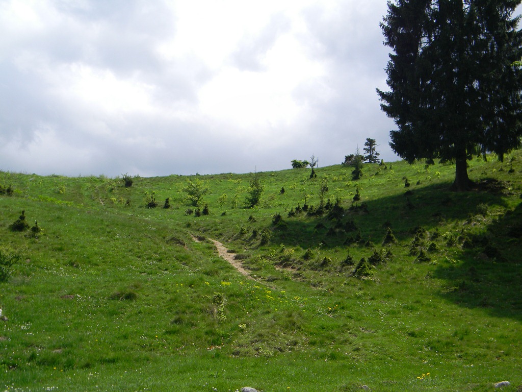 [DSCN36293.jpg]