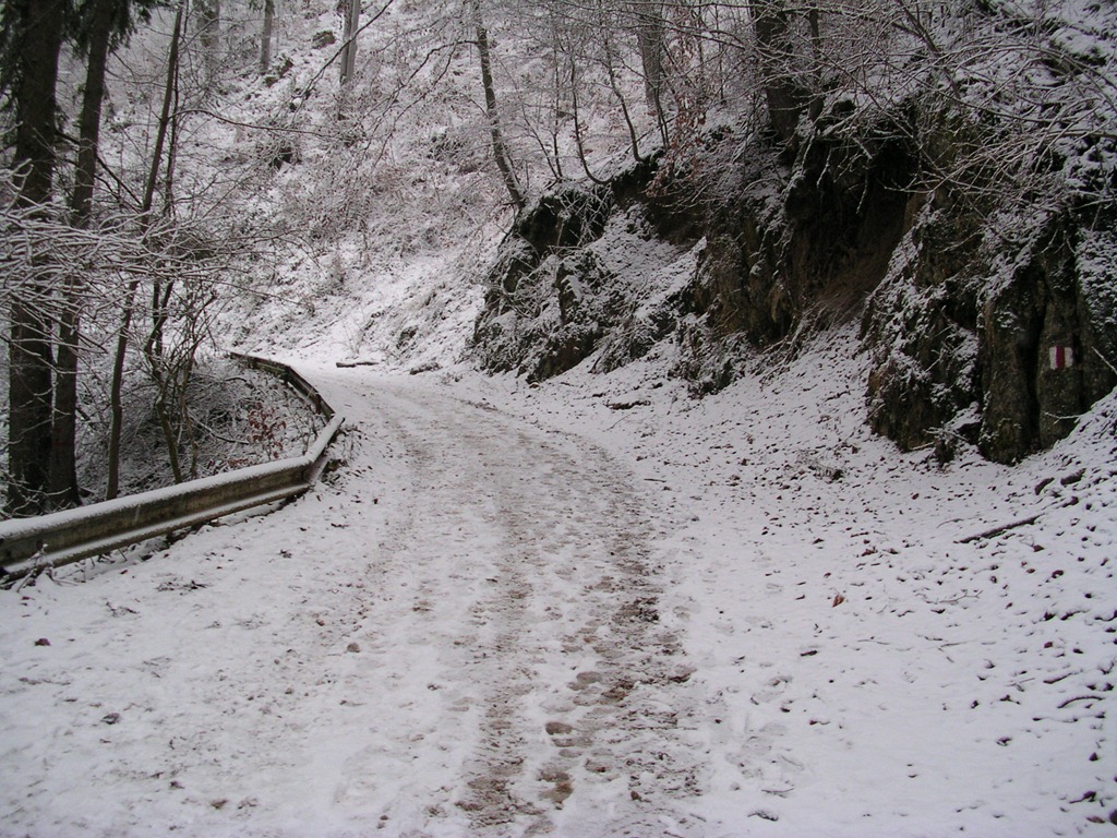 [DSCN15163.jpg]
