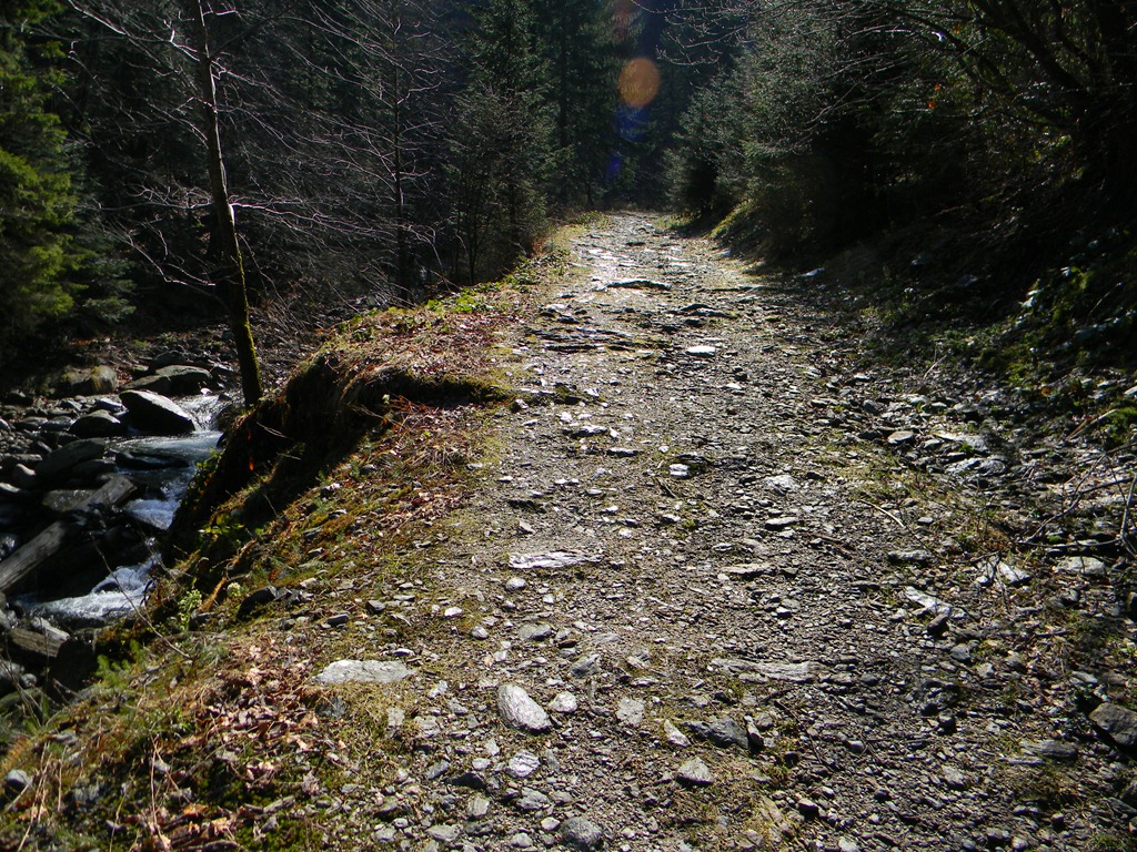 [DSCN41483.jpg]
