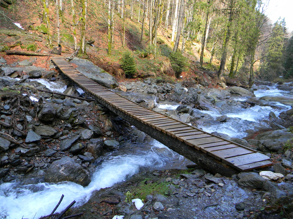[DSCN41763.jpg]