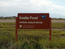Kealia Pond 