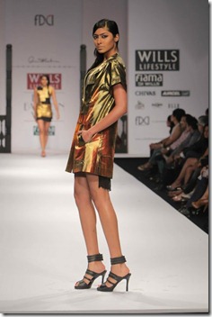 WLIF-SS 2011 anand kabra's collection 1