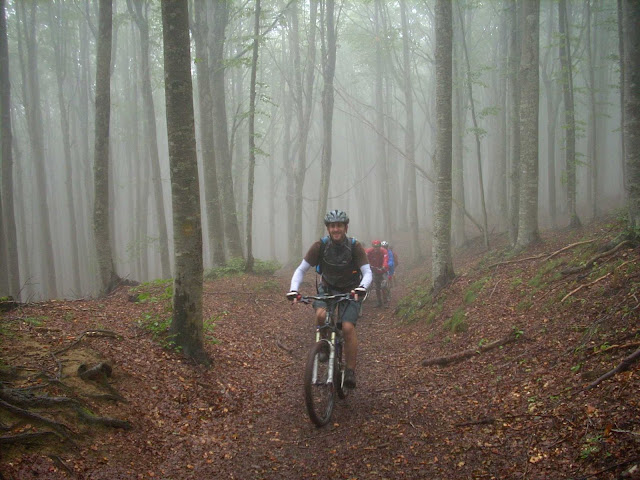 nik%20230.jpg