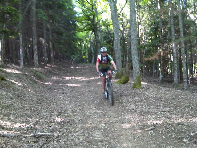 IMG00107-20100605-0937.jpg