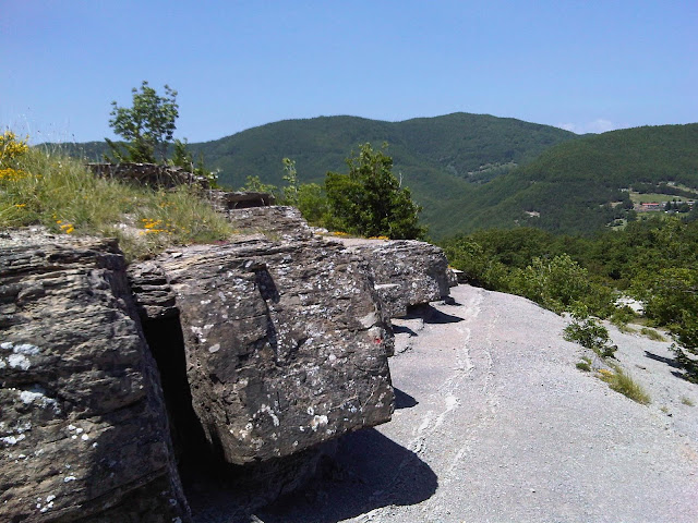 IMG00121-20100605-1210.jpg
