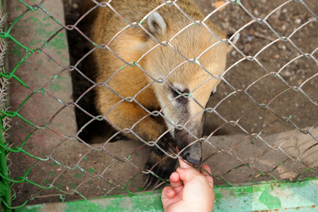Поход в николаевский зоопарк.