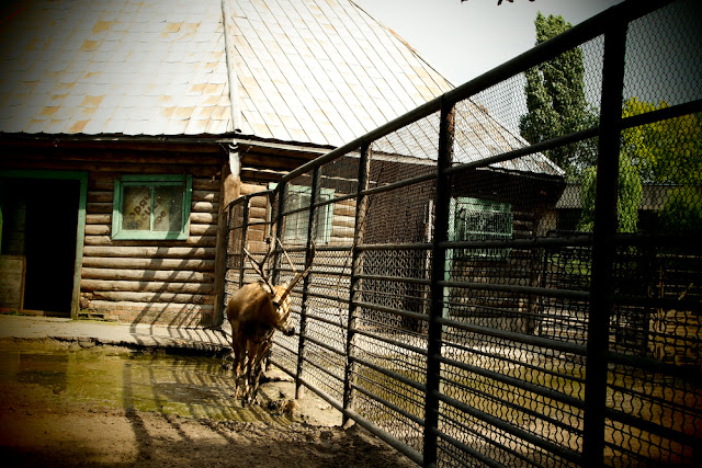 Поход в николаевский зоопарк.